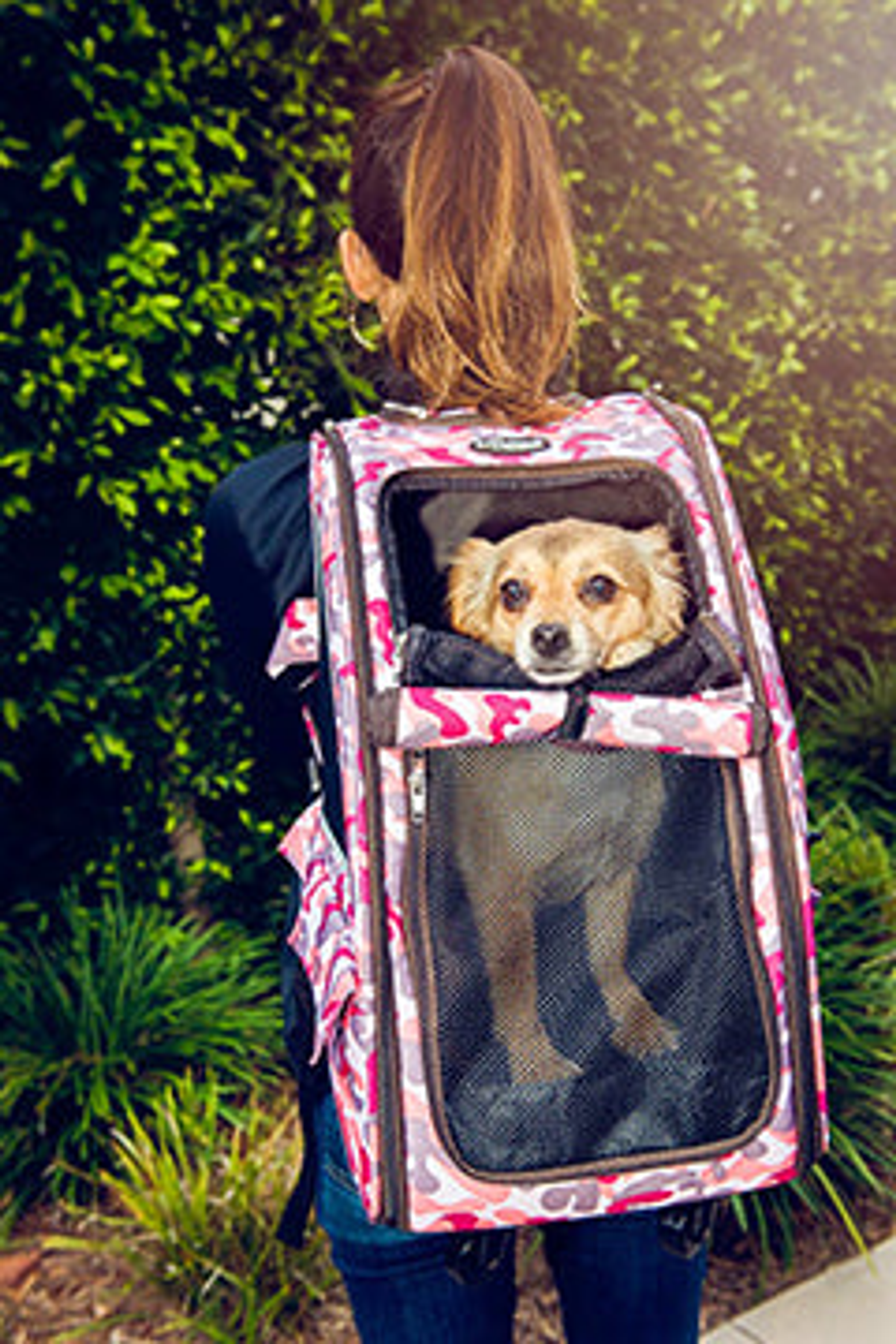 5-in-1 Pet Carrier Pink Camo-3