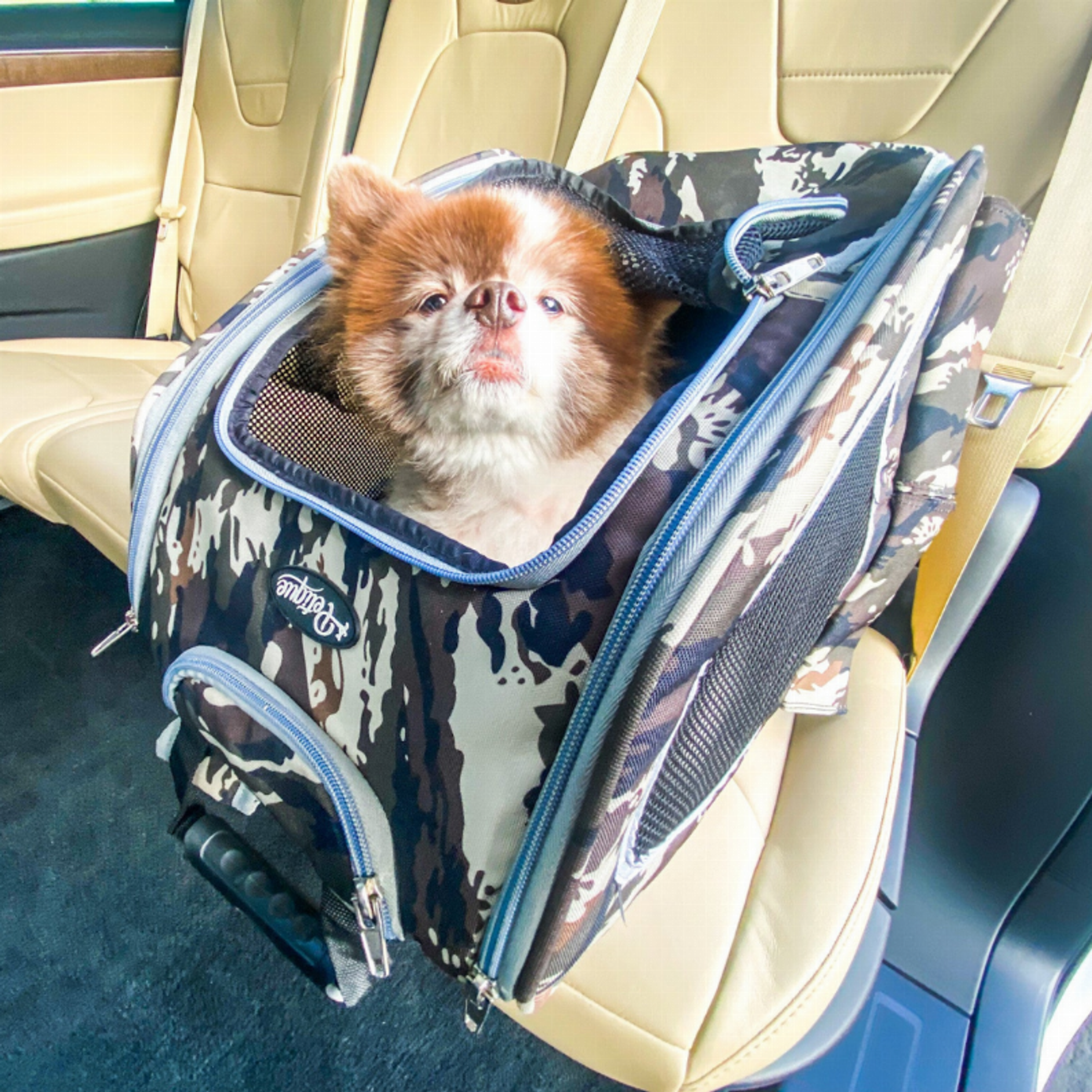 5-in-1 Pet Carrier Army Camo-2