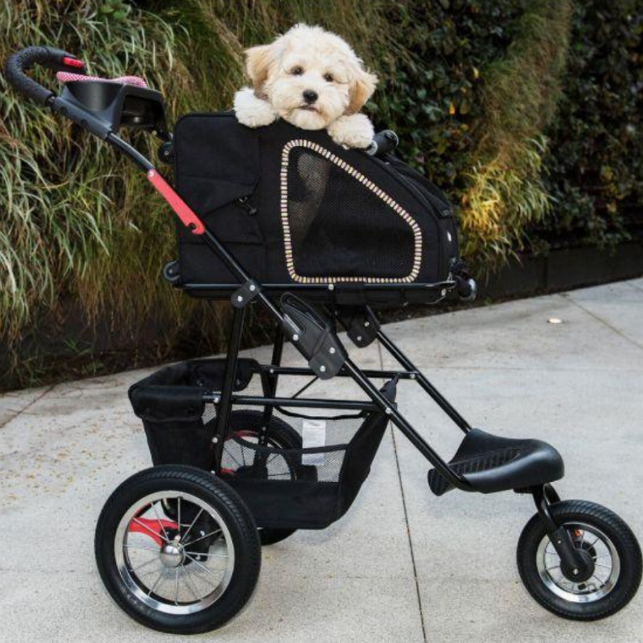 5-in-1 Pet Carrier Sunset Strip