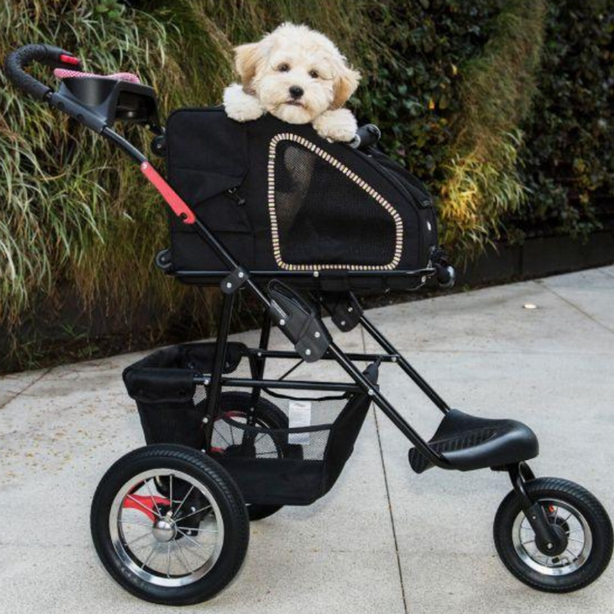 5-in-1 Pet Carrier Sunset Strip