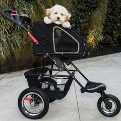 5-in-1 Pet Carrier Sunset Strip
