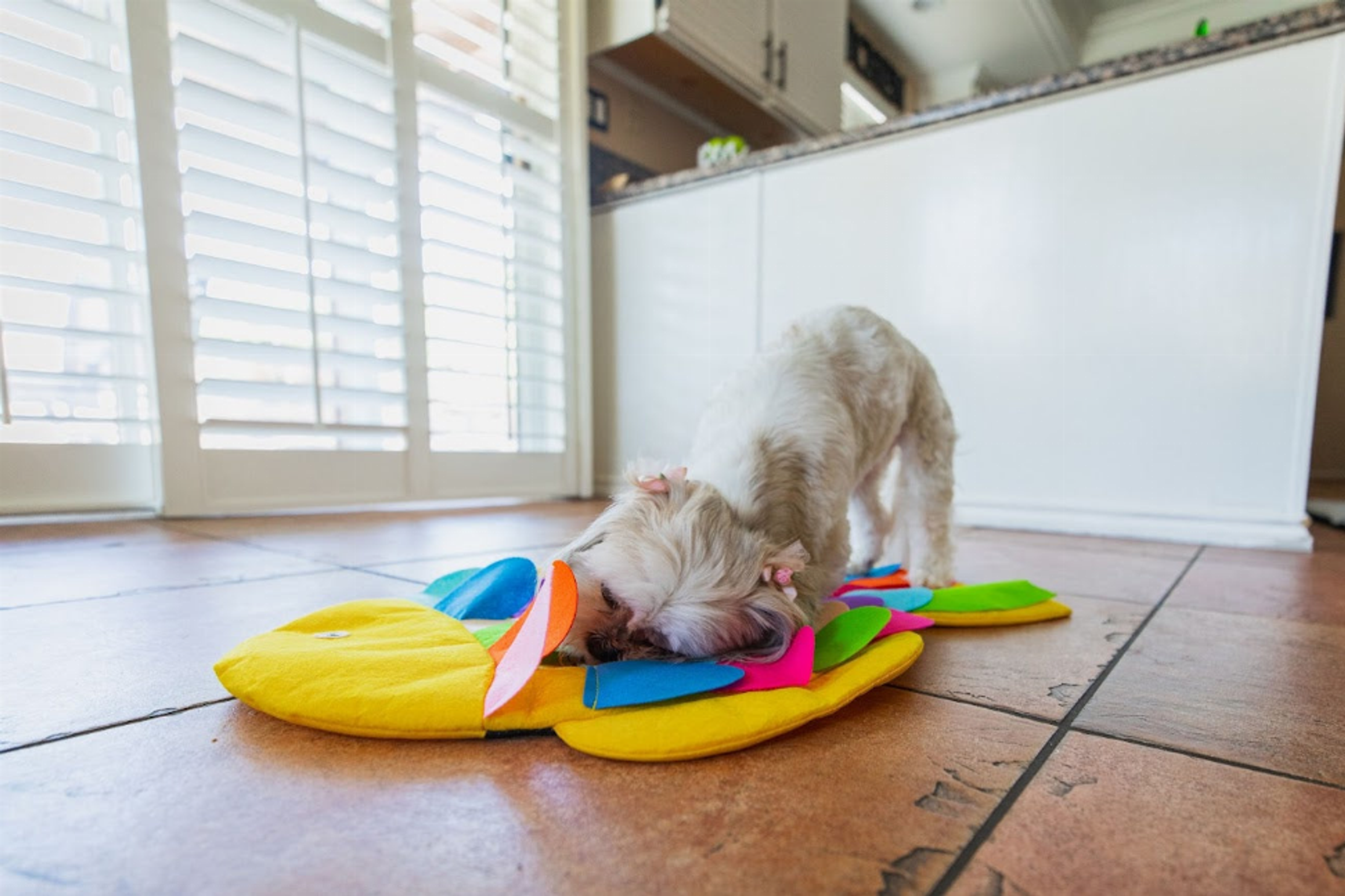 Snuffle Mat Puzzle Pad-3
