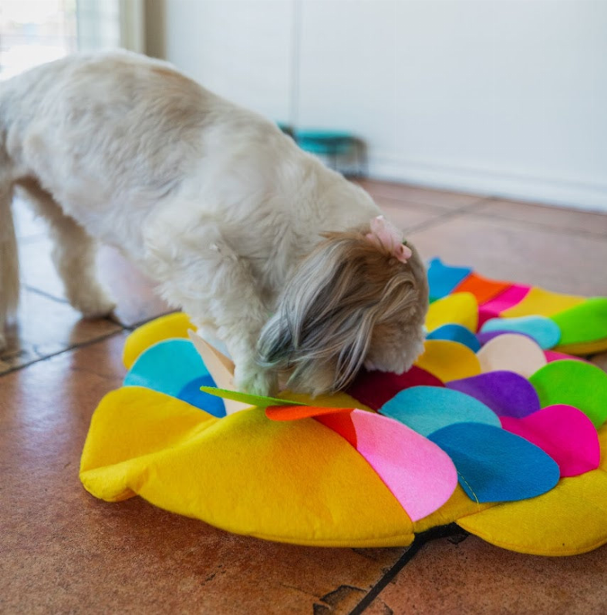 Snuffle Mat Puzzle Pad-5