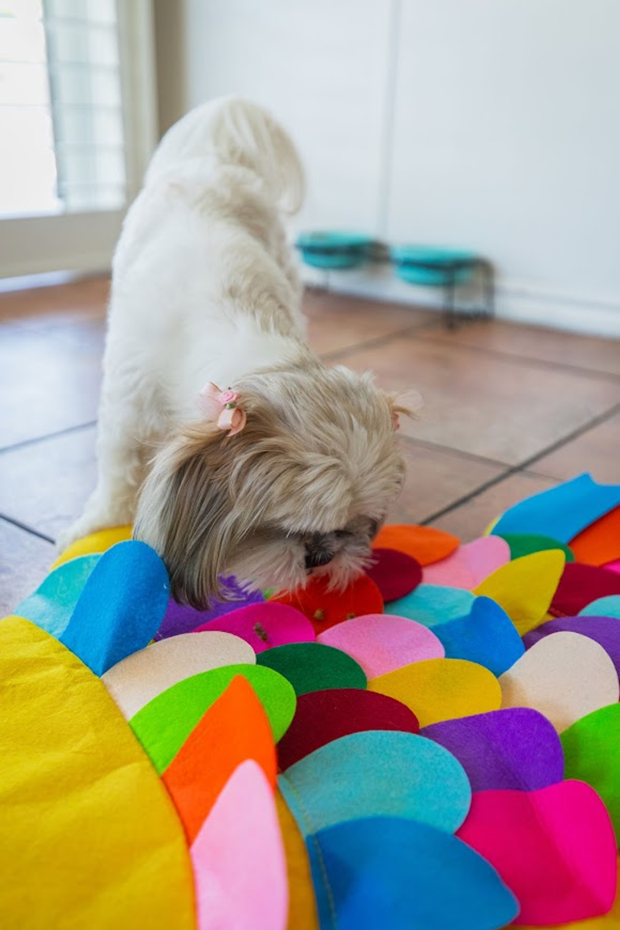 Snuffle Mat Puzzle Pad-6