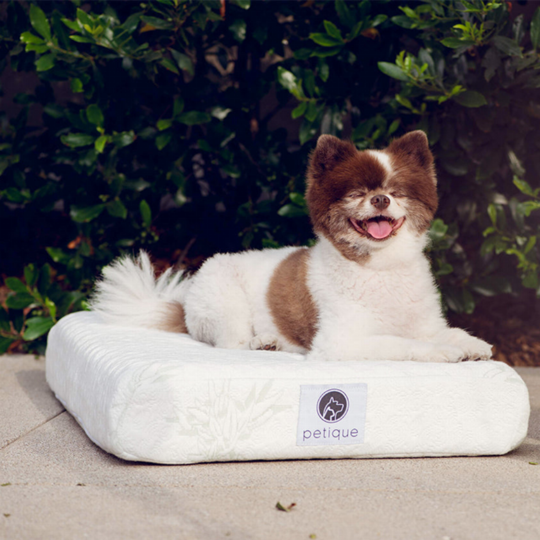 Bamboo Memory Foam Pet Bed Small-8