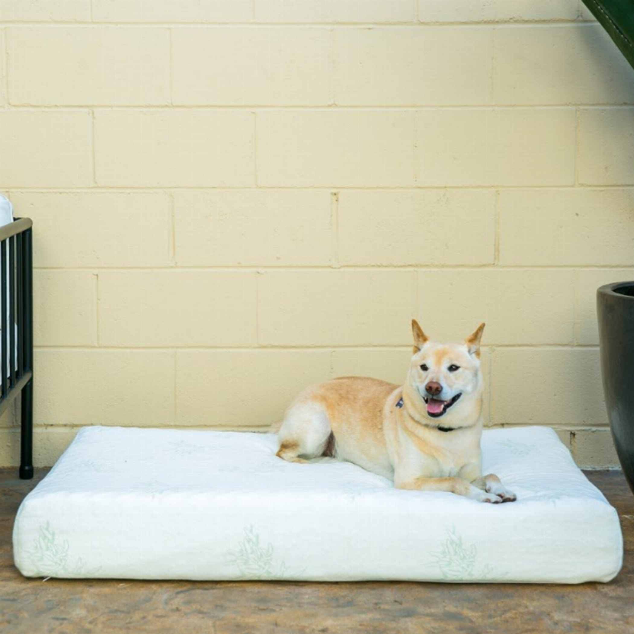 Bamboo Memory Foam Pet Bed Small-9