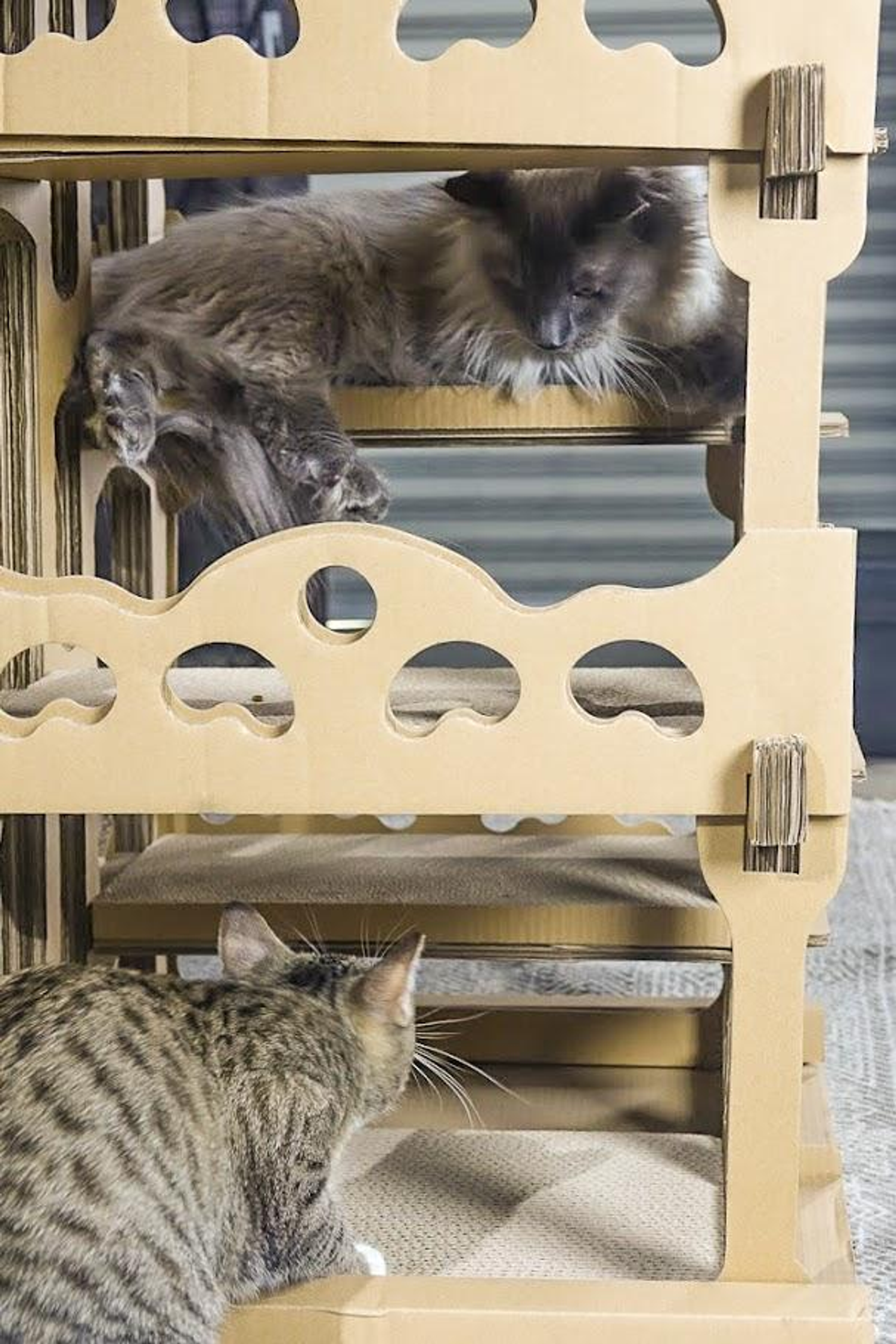 Feline Chateau Cat House-2