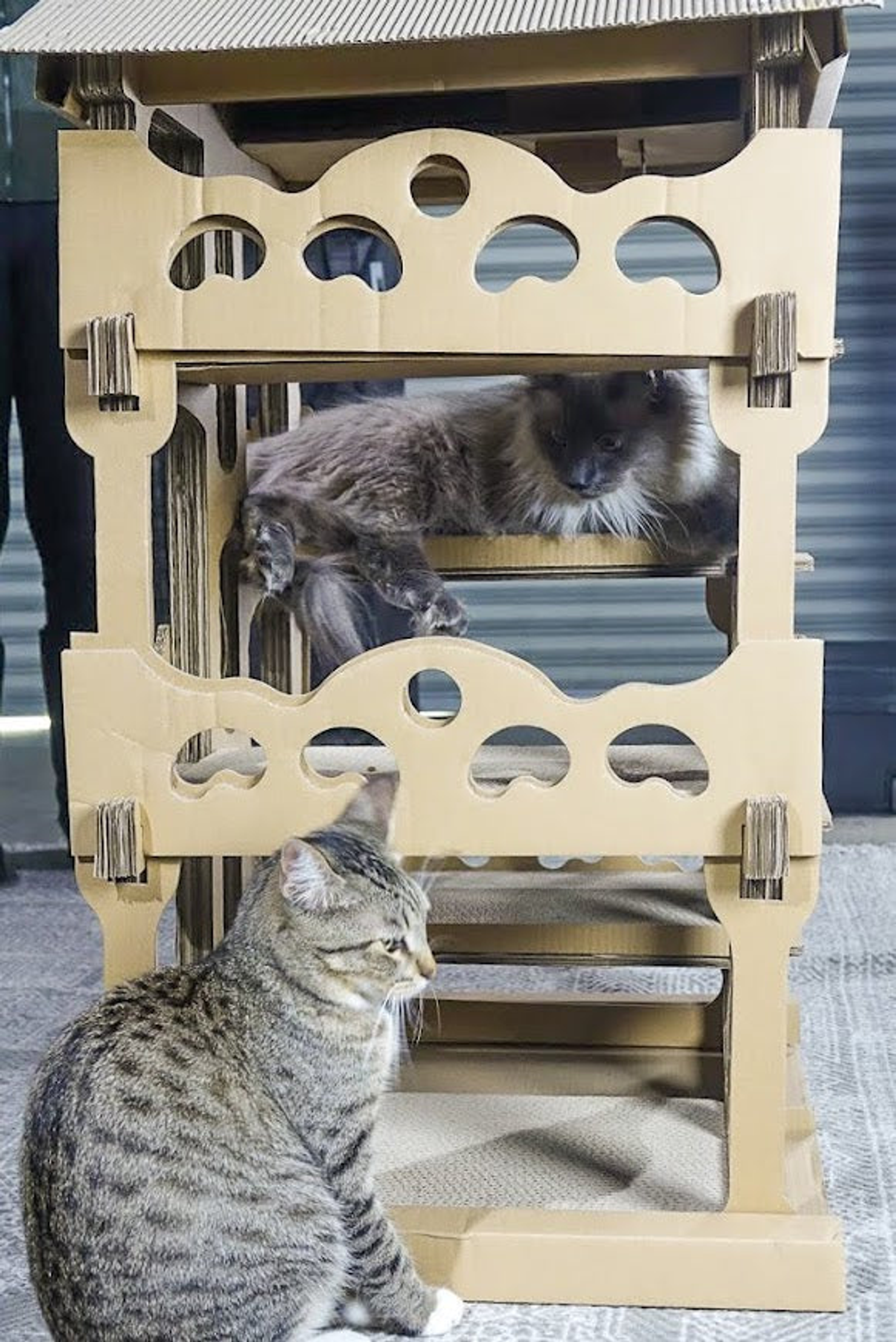 Feline Chateau Cat House-4