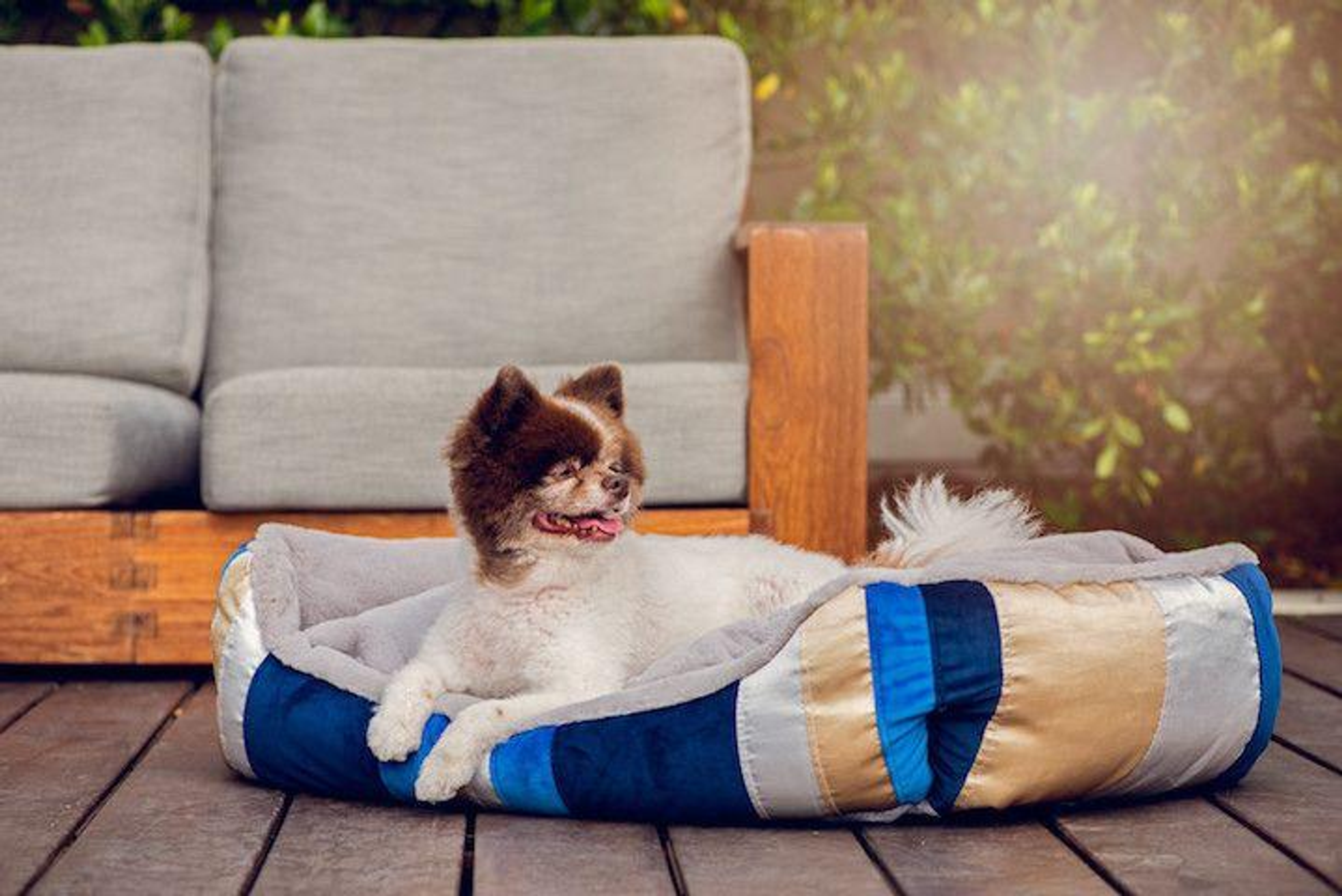 Golden Waves Reversible Pet Bed MEDIUM-5