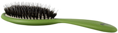 Bass Brushes- The BIO-FLEX Shine Shine & Condition Hair Brush Oval Shape Green1