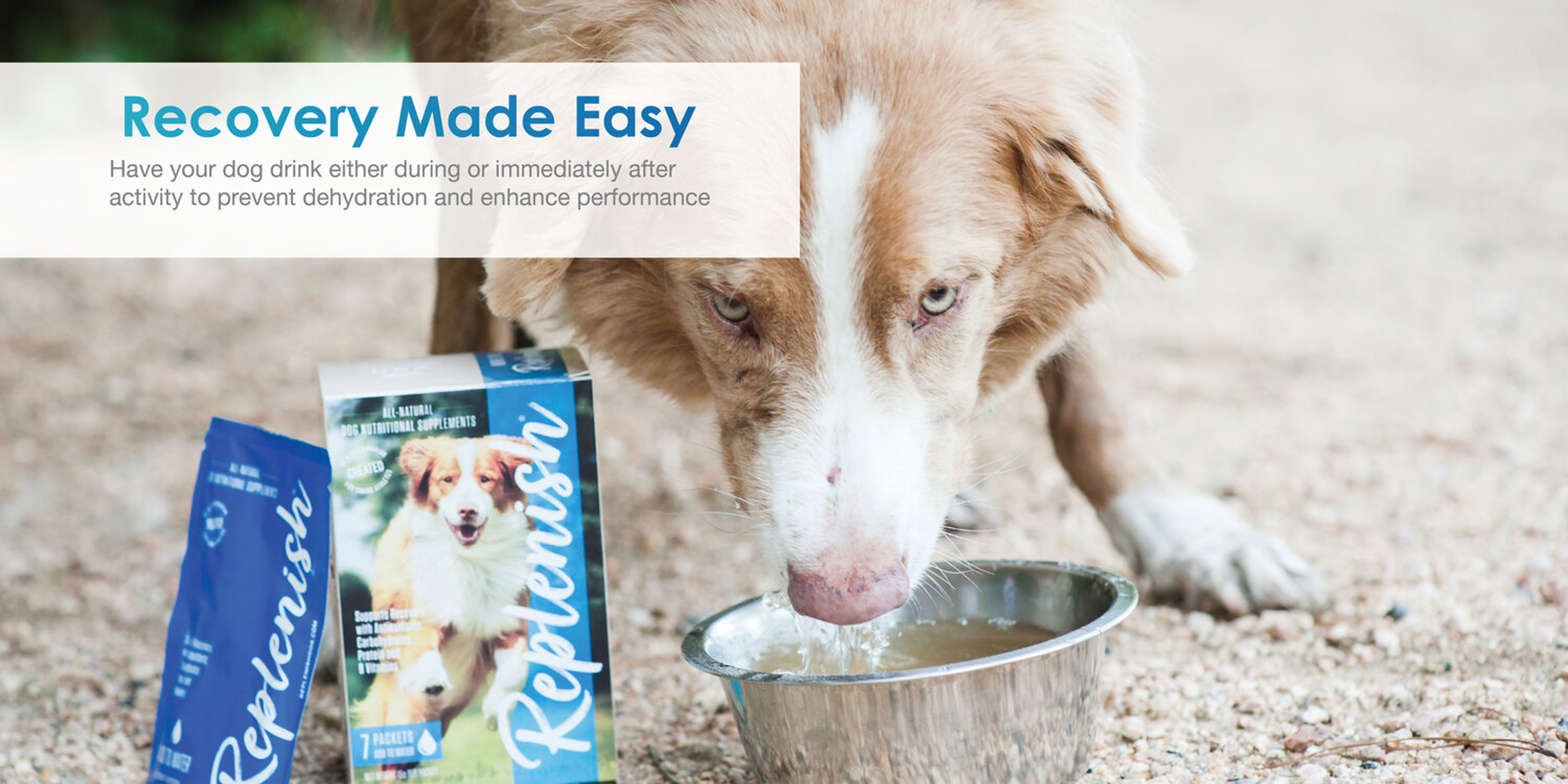 Replenish Dog Water Supplement (10 pack)-4