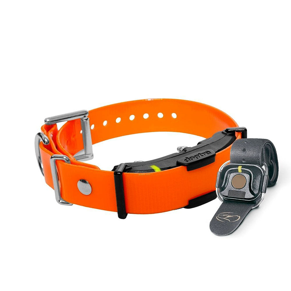 Dogtra ARC Handsfree Plus Boost and Lock Additional Collar