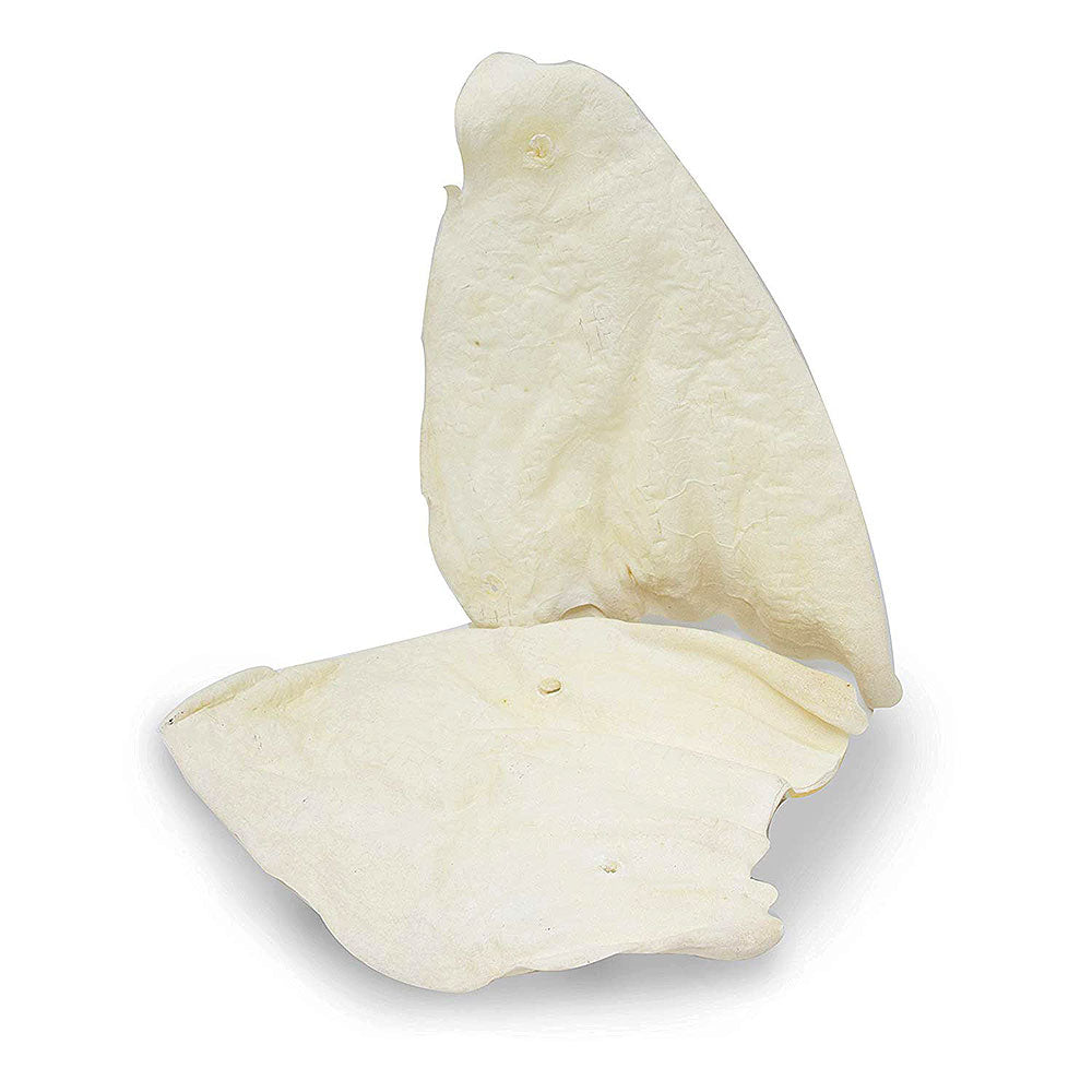Cadet White Cow Ears 12 Pack-2