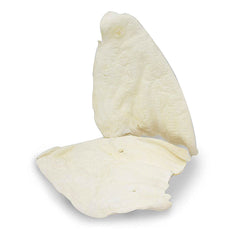 Cadet White Cow Ears 12 Pack-2
