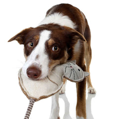 DOOG Country Tails Cat Chew Toy-2