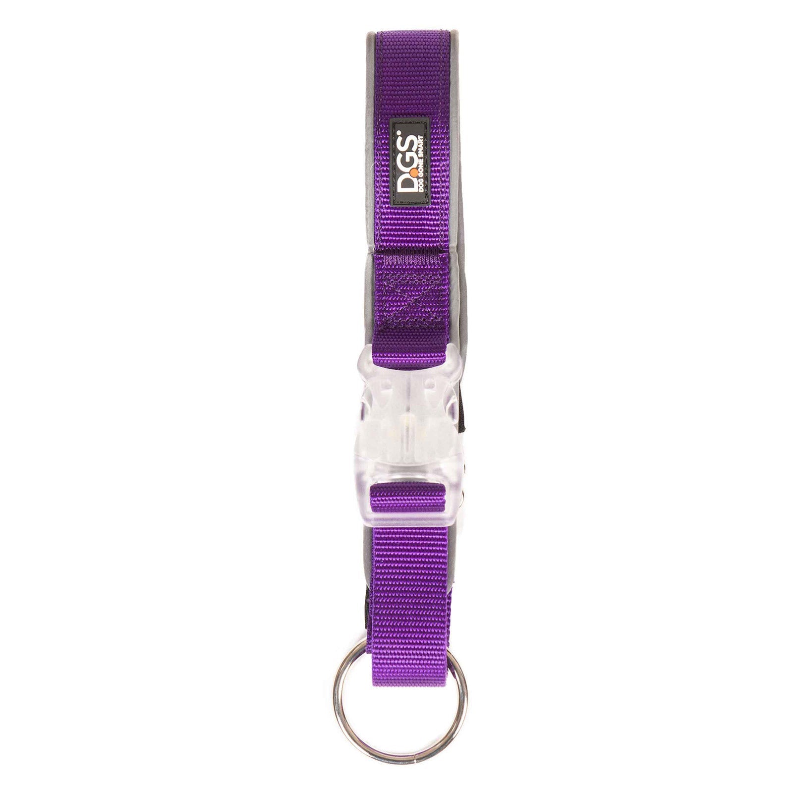DGS Pet Products Comet Rechargeable Light Up Dog Collar Small Purple-4