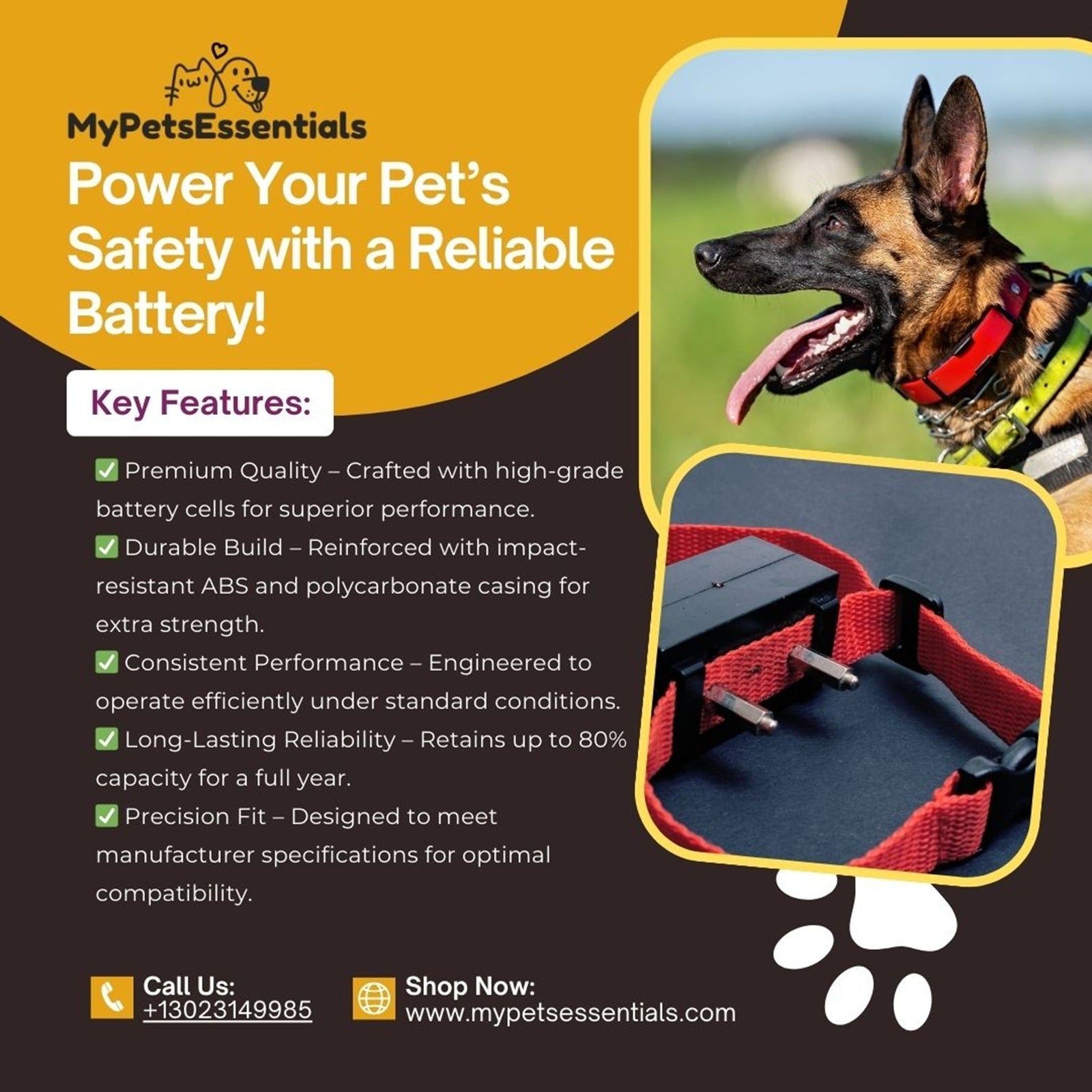 BirdDog Version 4 Version 2.5 Battery 3000mAh-5