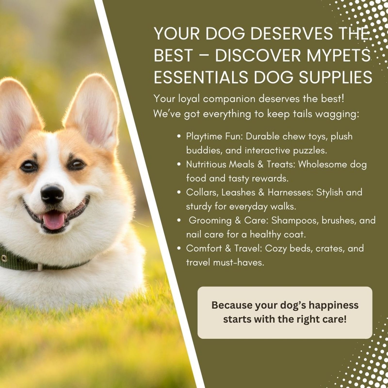 DOOG Treat and Training Pouch with Hinge Closure Large Navy/Red-4