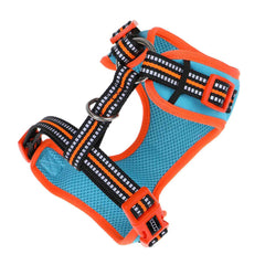 DOOG Neoflex Dog Harness Beethoven Neon Extra Large Orange/Blue-3