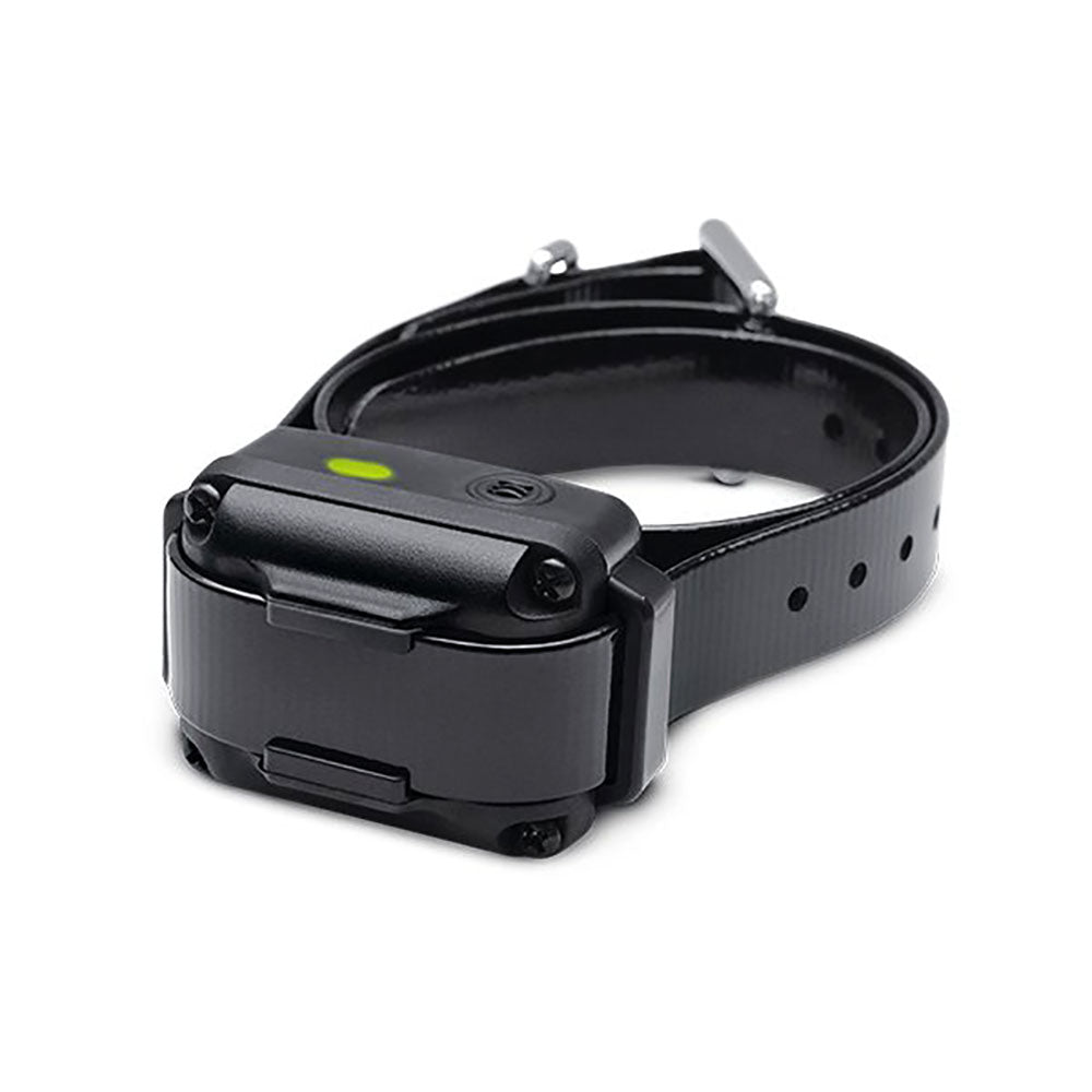Dogtra iQ Vibration Dog Bark Control Collar