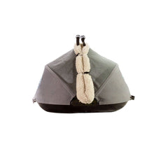 Bear Bear Pet Nest and Go Pet Bed and Carrier-2