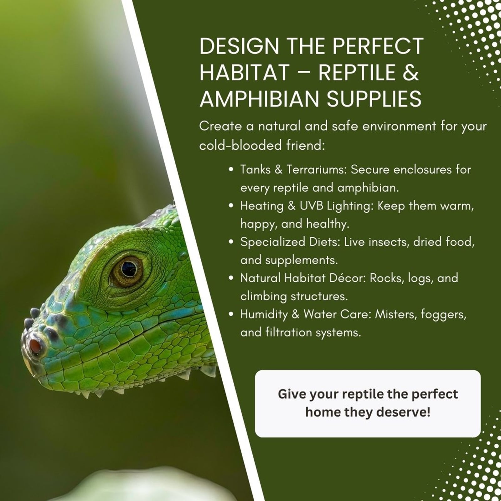 Miracle Corp DeFlea Reptile Mite and Lice Spray 8 ounces-3